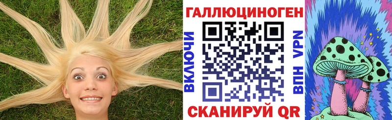 Псилоцибиновые грибы Psilocybine cubensis  дарнет шоп  Скопин 
