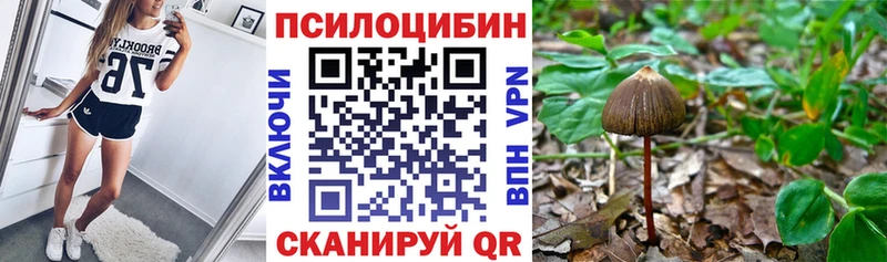 Галлюциногенные грибы Cubensis Скопин