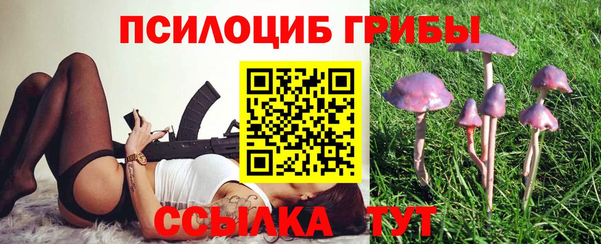 Псилоцибиновые грибы GOLDEN TEACHER  Псилоцибиновые грибы ЛСД  Вход с VPN  Скопин 